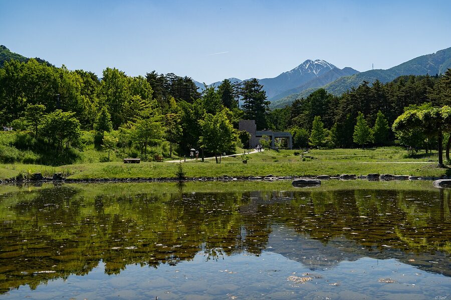 Alps Azumino National Government Park flower fields in spring