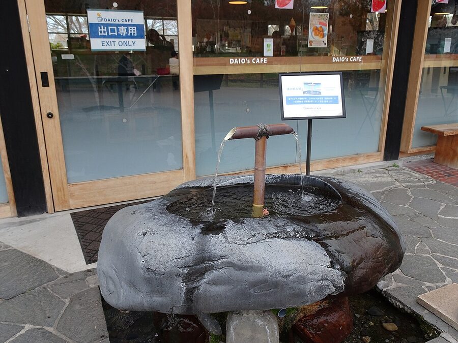 Spring water flowing through the wasabi cultivation channels at Daio Wasabi Farm