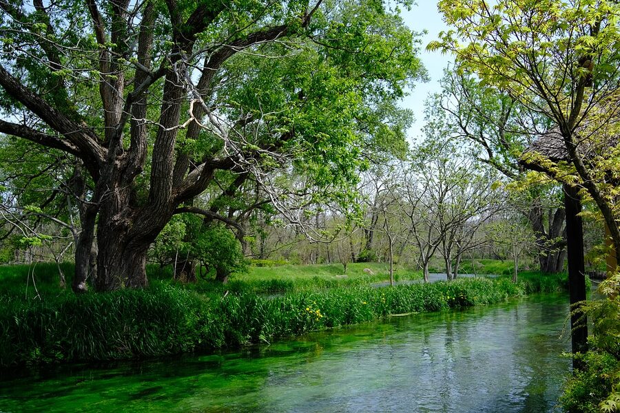 Walking paths between Daio Wasabi Farm cultivation fields
