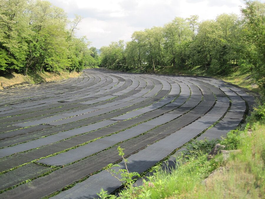 Daio Wasabi Farm overview with Hotaka foothills behind