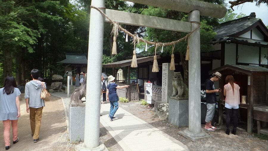 Daio Wasabi Farm cultivation beds covered with black shading tarps in summer