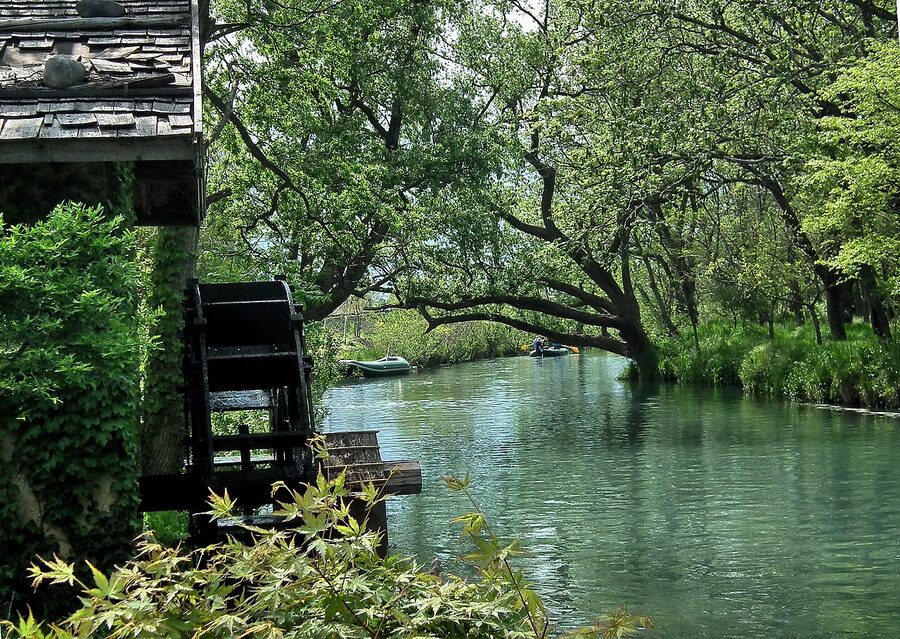 Single wooden waterwheel at Daio Wasabi Farm beside clear stream