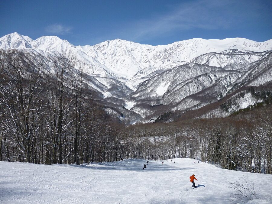 Hakuba Iwatake Snow Field panorama in winter