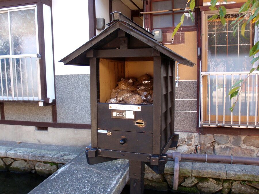 Child feeding koi carp from the ¥100 pellet dispensers along the Seto canal