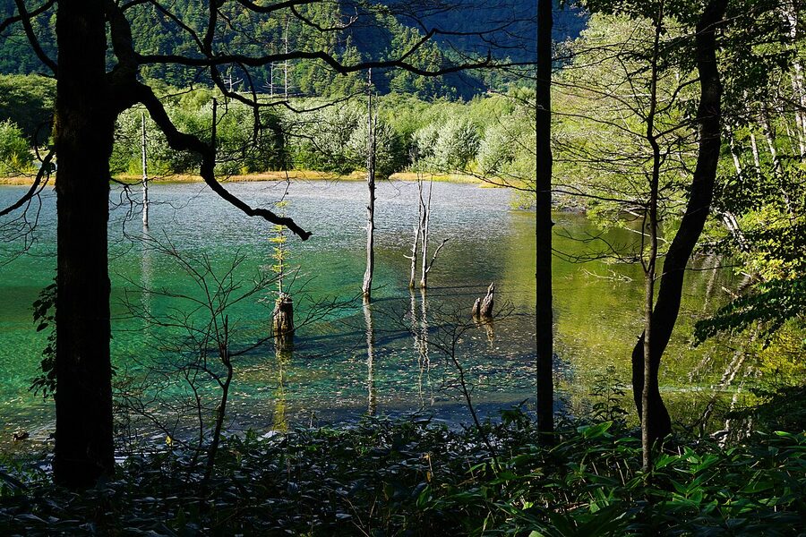 Taisho-ike pond at Kamikochi with Mount Yakedake reflected, a popular day trip from Matsumoto