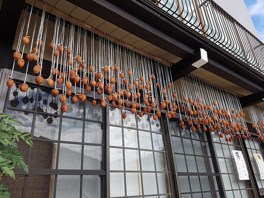 Hoshigaki drying persimmons hung at the eaves of a Takayama old town house in autumn