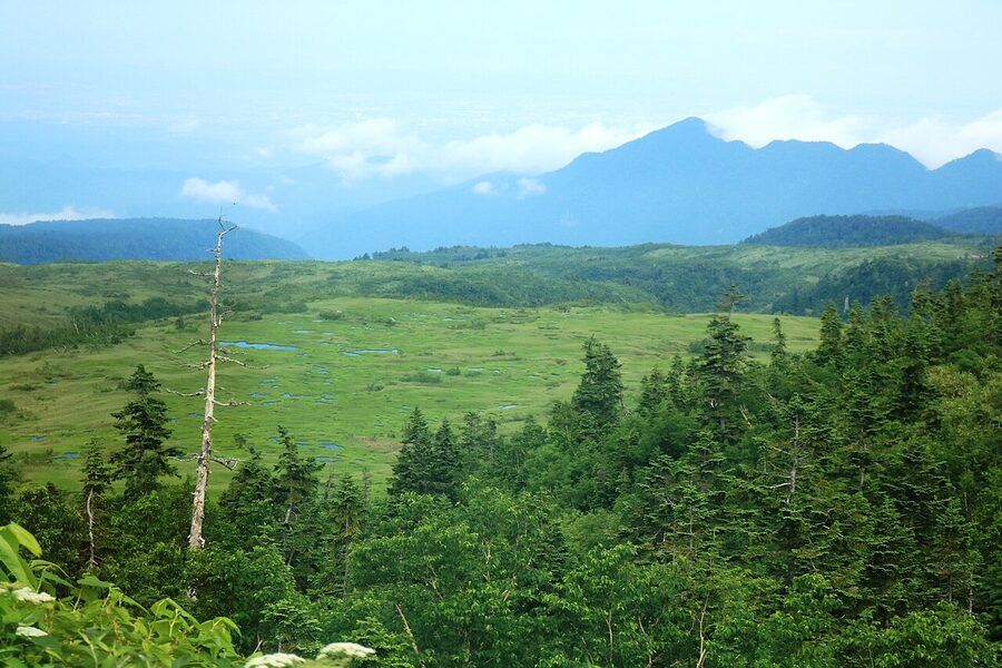 Midagahara wetland plateau seen from the Tateyama Highland Bus
