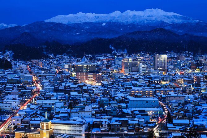 1 Day Private Charter Tour to Shirakawa-go & Takayama - English-speaking driver reality: what you can expect from the humans behind the wheel