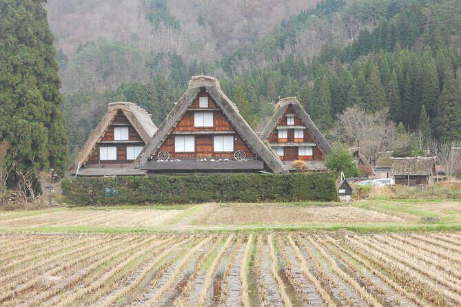 1-Day Shirakawago & Takayama Tour (Round Trip from Kanazawa) - Key things I’d mark on your itinerary
