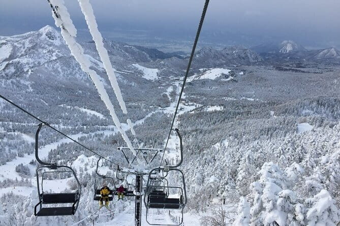 1-Day Ski Tour Package from Nagano Station - Shiga Kogen and the snow-condition selection method
