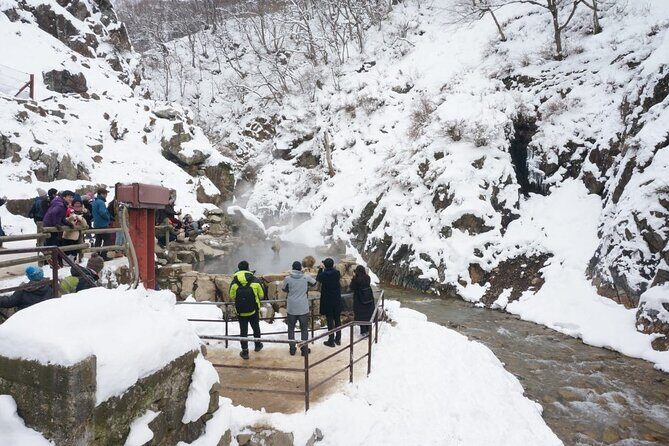 1-Day Snow Monkeys, Zenko-ji Temple & Sake in Nagano - Jigokudani Snow Monkey Park: Watching Wild Macaques Without Breaking the Rules
