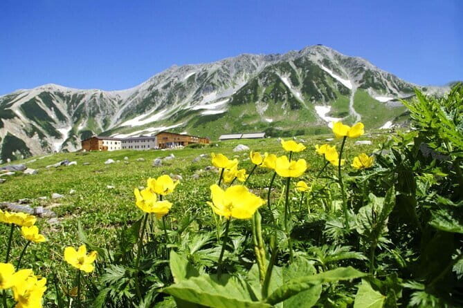 1-Day Tateyama-Kurobe Tour: Walking on the 'Roof of Japan' - Key highlights you’ll feel on the Roof of Japan