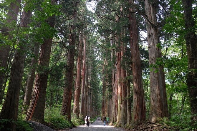 1-Day Togakushi Tour: Soba making, Ninja Town, and Hidden Shrines - Key Highlights You’ll Actually Feel in This Togakushi Day