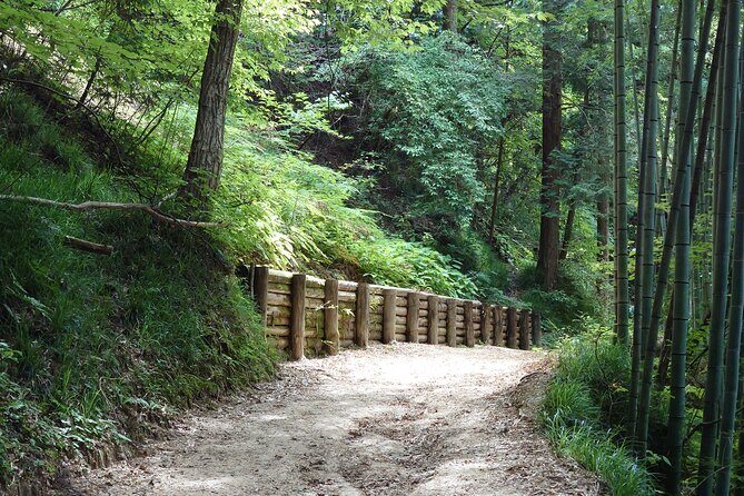 1-Day Tour from Matsumoto: Walk the Nakasendo Trail - Midway inspiration: why the Nakasendo halfway point is more than a break