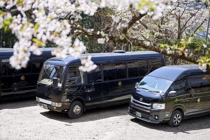 1-Day Tour from Nagano and Matsumoto Kamikochi & Matsumoto Castle - Price and value: what $201.64 buys you
