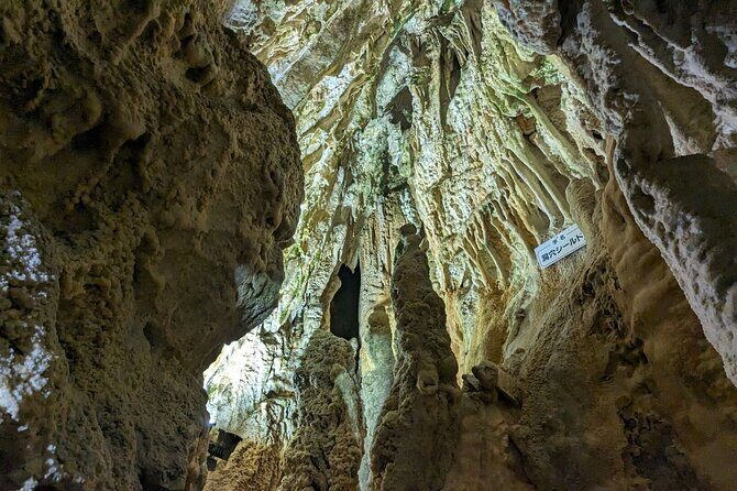 1-Day Tour from Takayama: Hida Folk Village, Caves & Ropeway - Stop 2: Hida Great Limestone Cave and the Ohashi Collection Museum