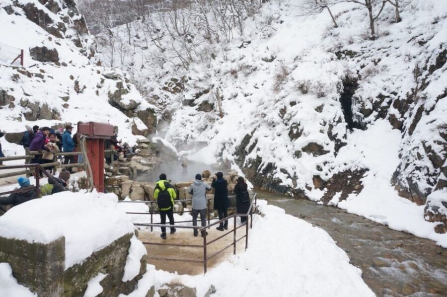 1 Day Tour: Snow Monkeys & Snow Fun in Shiga Kogen - Who should book this tour (and who should think twice)
