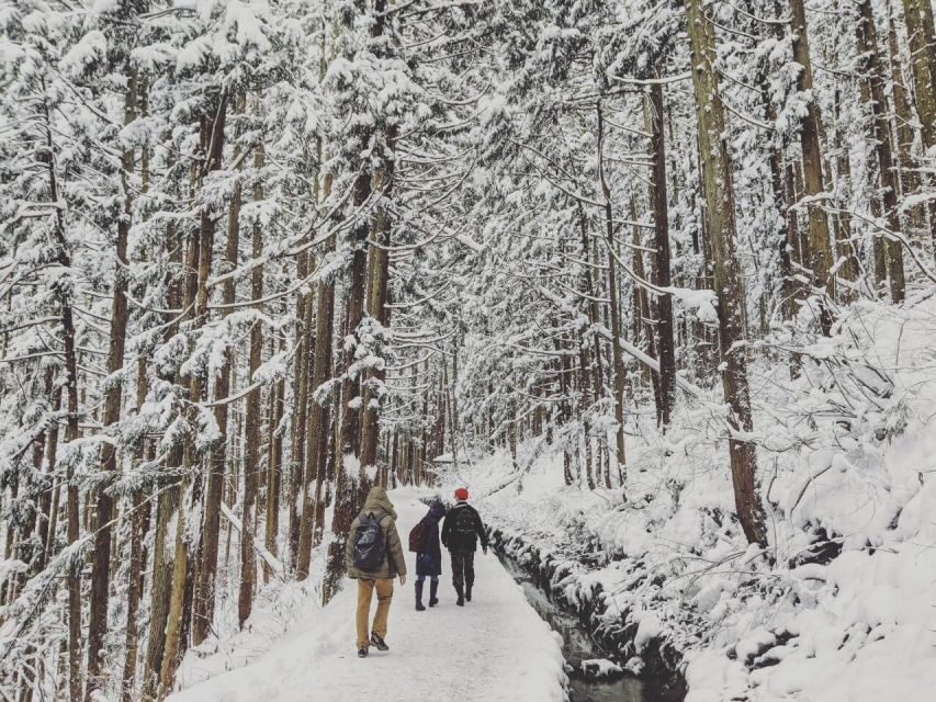 1 Day Tour: Snow Monkeys & Snow Fun in Shiga Kogen - Jigokudani Snow Monkey Park: why hot springs are the whole story