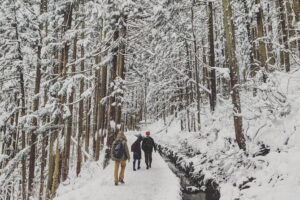 1-Day Winter Tour From Nozawa Onsen: Snow Monkeys, Zenko-ji Temple & Sake - Lunch at GOEN: where the day warms up and your stomach stops bargaining