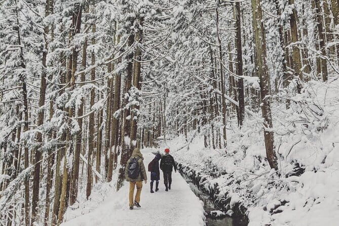 1-Day Winter Tour From Nozawa Onsen: Snow Monkeys, Zenko-ji Temple & Sake - Lunch at GOEN: where the day warms up and your stomach stops bargaining