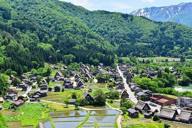 Departing from Takayama [Regular sightseeing bus] World Heritage Sites Shirakawago and Gokayama Ainokura - The real value: why this bus trip beats DIY