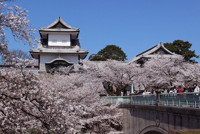 Discover Kanazawa with a Local: Private & Custom Tour - Omicho Market: local food energy, timed for sanity