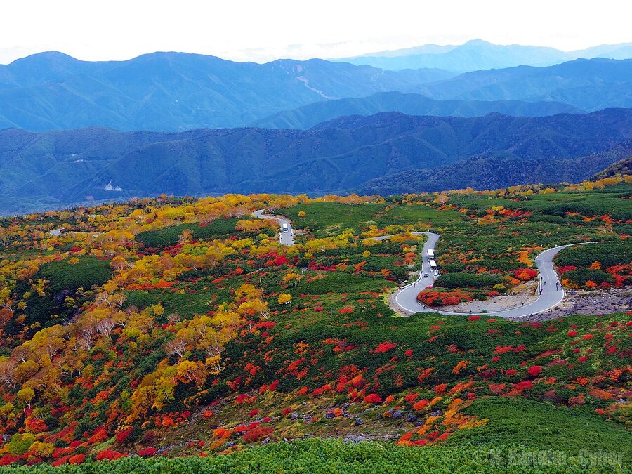 Norikura Echo Line in peak autumn colour