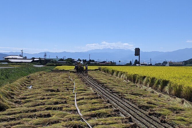 eTour de Matsumoto - Electric Bike Tour - Price and value: why $88 can work for your day
