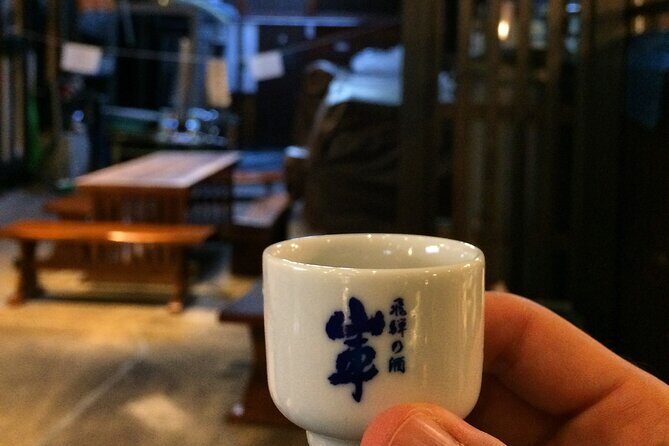 EXPERIENCE TAKAYAMA & LOCAL SAKE TASTING with explanation 1 HOUR! - Quick take: where this tour shines