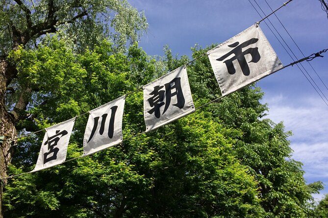 EXPERIENCE TAKAYAMA OLD TOWN & MORNING MARKETS in 1 Hour! - Who should book this one-hour Takayama walk