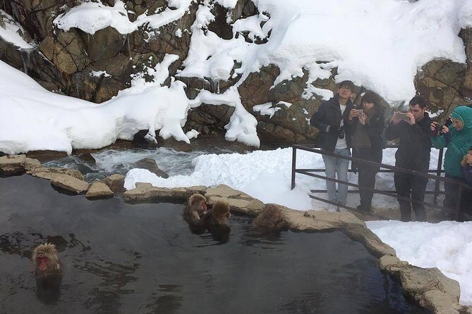 Explore Jigokudani Snow Monkey Park with a Local Guide - Kaede no Yu foot spa: why an ashi-yu break feels so worth it