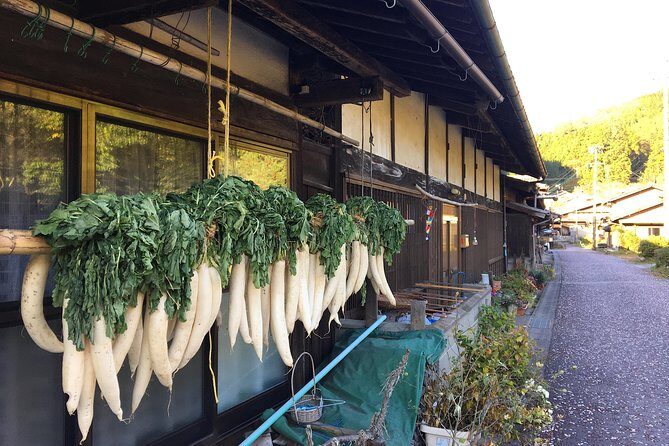 Explore Kiso Valley : Magome - Tsumago Mountain Trail Walk - Stop-by-stop: Magome-juku, the Observatory, and Odaki–Medaki waterfalls