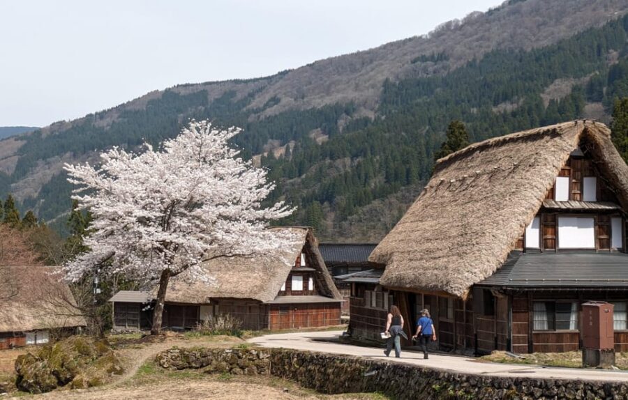 From Kanazawa: Shirakawa-go, Gokayama and Wood Carving Art - Timing, Transport Comfort, and What to Bring