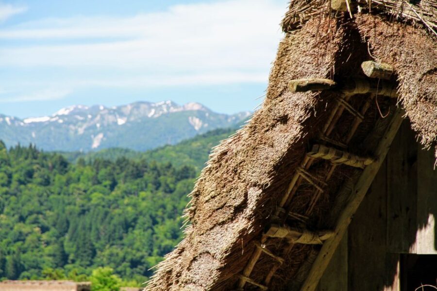 From Kanazawa: Shirakawago, Hida-Furukawa and Takayama Visit - Key Highlights That Matter
