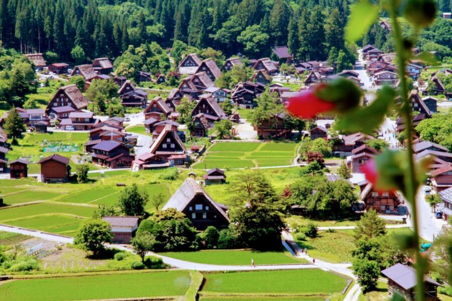 From Kanazawa: Shirakawago, Hida-Furukawa and Takayama Visit - Who Should Book This Tour (And Who Might Prefer Something Else)