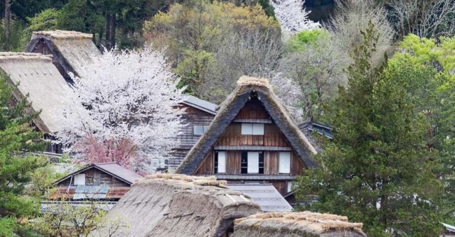 From Kanazawa/Toyama: Shirakawago and Takayama Day Tour - Should you book this Shirakawago and Takayama day tour?