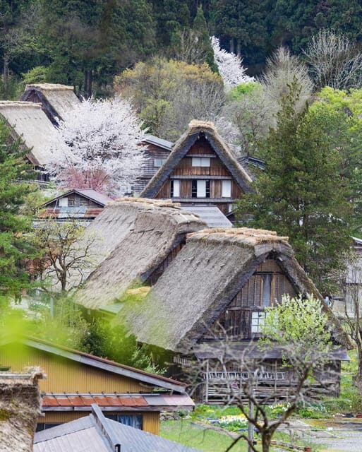 From Kanazawa/Toyama: Shirakawago and Takayama Day Tour - Hida no Sato: open-air museum, crafts market, and scenic breaks