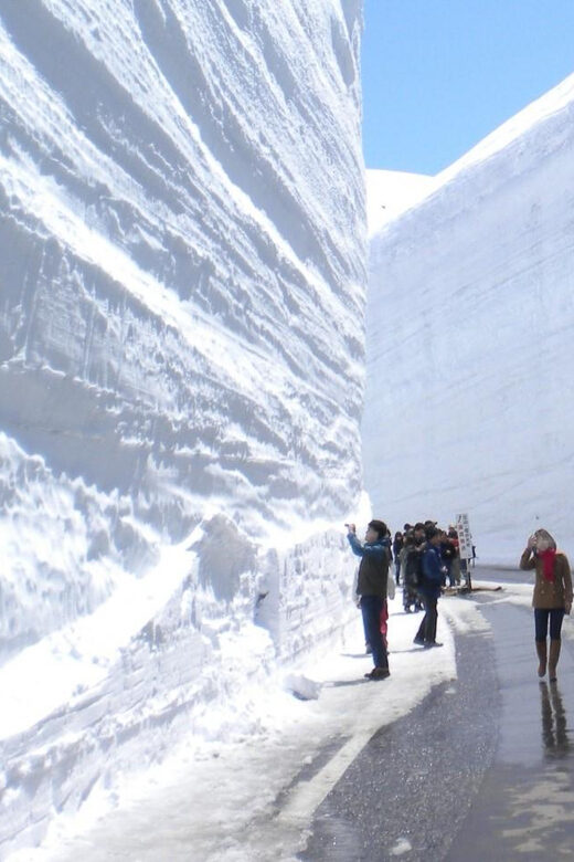 From Kanazawa/Toyama: Snow Wall & Mysterious Valley Day Tour - Murodo: lunch, the 35-minute snow wall walk, and time in the highlands