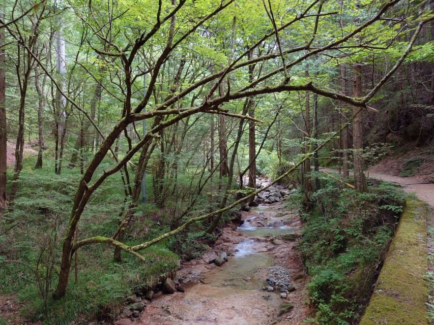 From Matsumoto/Nagano: Nakasendo Trail Walking Tour - Magome: sloped main street, waterways for waterwheels, and your free-time window