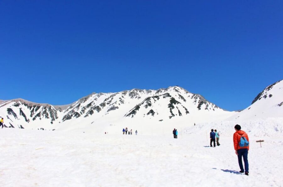 From Nagano: Tateyama-Kurobe Alpine Route - Should You Book the Tateyama-Kurobe Alpine Route from Nagano?
