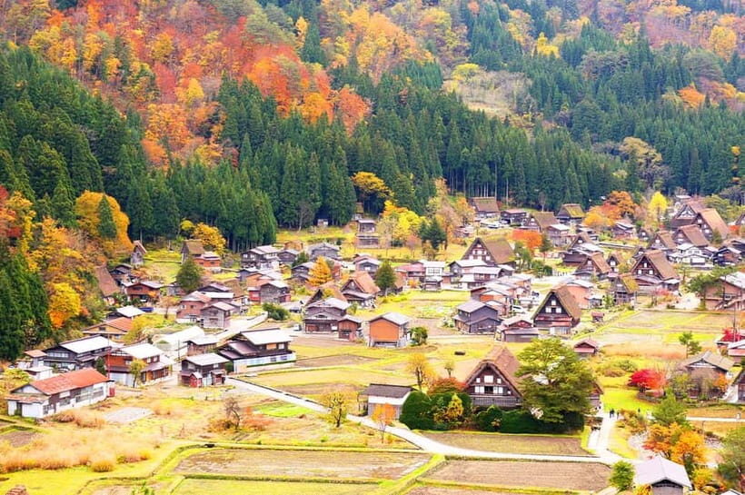 From Nagoya: Shirakawa-go & Hida-Takayama Full Day Trip - Ochudo Café: the One Piece stop that still feels cozy