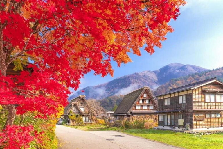 From Nagoya: Shirakawa-go & Hida-Takayama Full Day Trip - Nagoya pickup: the part that decides whether the day feels easy