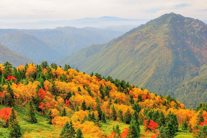 From Takayama: Alpine Splendor - Shinhotaka Ropeway and Kamikochi - Kamikochi: Taisho Pond, Azusa River Walks, and 90 Minutes to Breathe