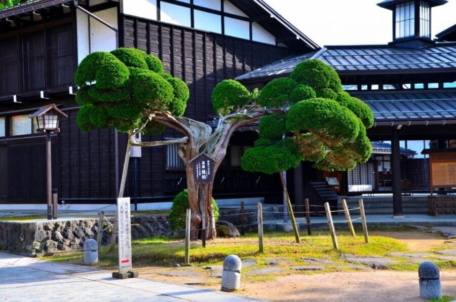 From Takayama: Delve into Hida-Furukawa's Cultural Treasures - Traditional village time: a scenic pause that still feels like local life