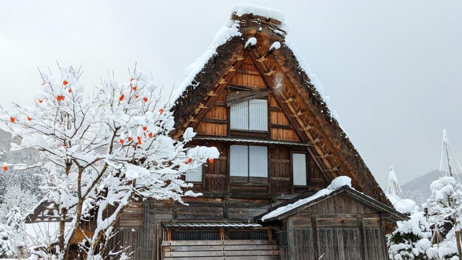 From Takayama: Guided Day Trip to Takayama and Shirakawa-go - One day, two time periods you can actually feel