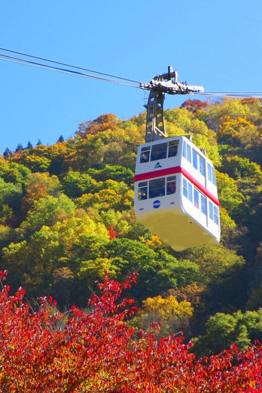 From Takayama: Shinhotaka Ropeway and Kamikochi tour - Kamikochi: walking the Azusa River, Taisho Pond, and Kappa Bridge