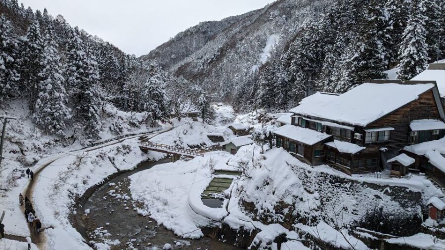 From Tokyo: Snow Monkey 1 Day Tour with Beef Sukiyaki Lunch - Kamakura snow huts (Jan 23–Mar 1, 2026): the fairy-tale winter extra