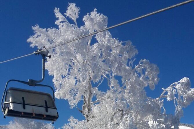 Full Day Ski Lesson (6 hours) in Yuzawa, Japan - How the lesson adapts to beginners and improving skiers