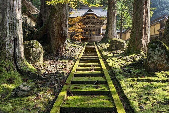 Full Day Tour Eiheiji Buddhist Temple and Fukui City Castle Town - Key highlights worth your attention