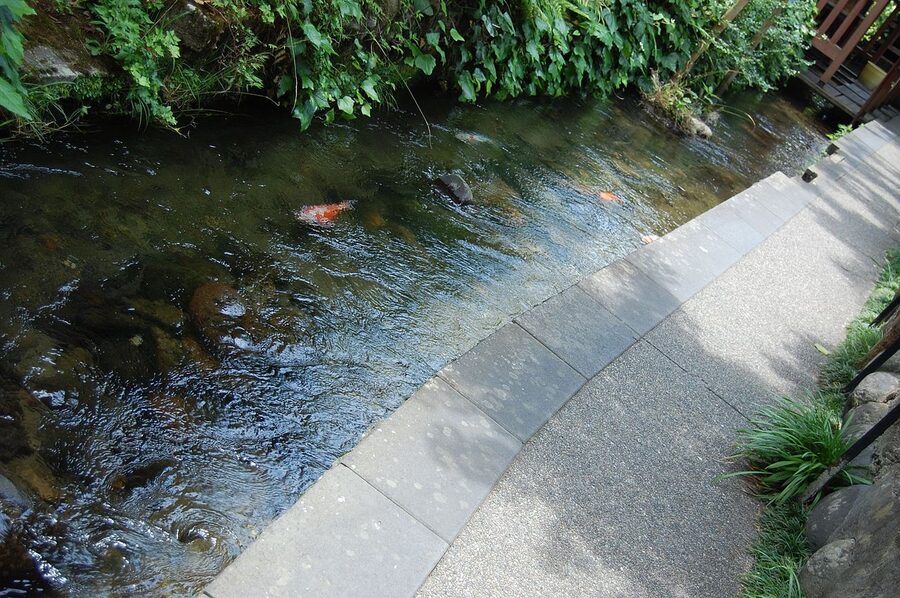 Koi swimming in the canal of Igawa Komichi water lane